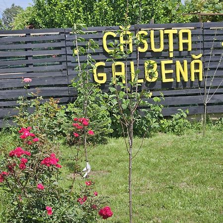 فيلا Casuta Galbena إيفوري نورد المظهر الخارجي الصورة